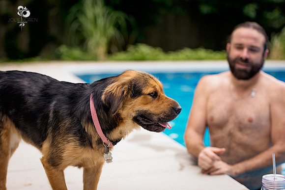 doggies_13_web