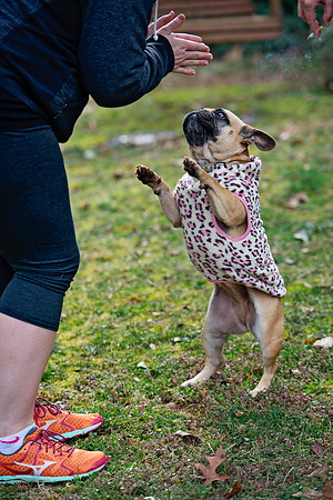 doggies_089T_hires