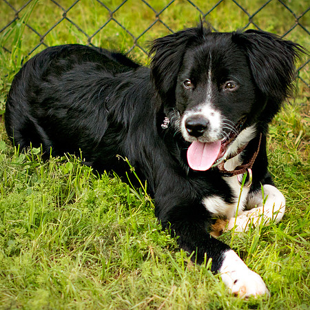 ringo-park_045T_Web-2