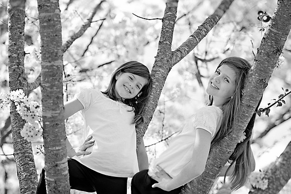 lexi_948TT-2_web