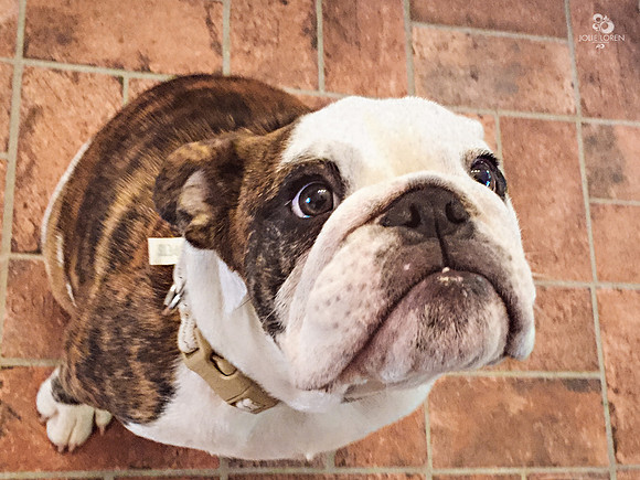 IMG_5948_web