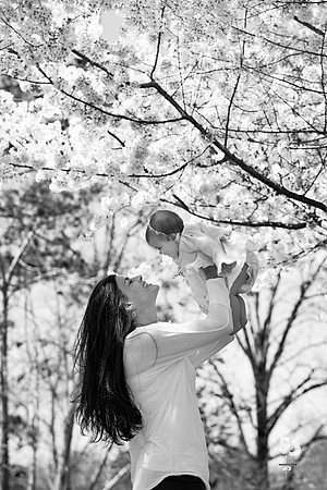 lexi_763T-2_web