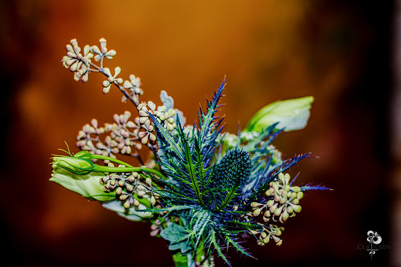 Allmett_053_web
