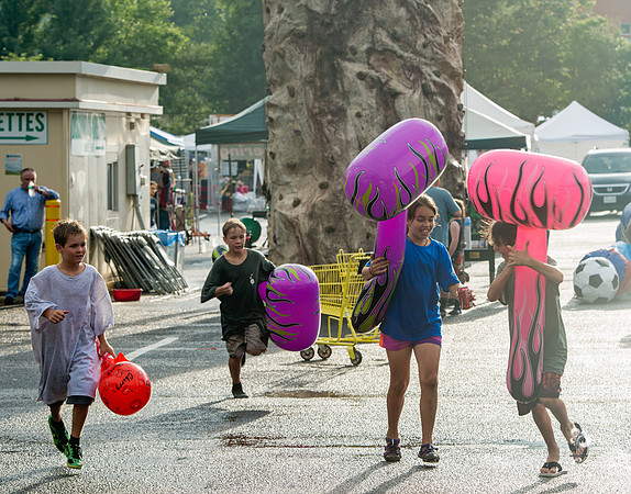 Oak Groove Music Arts & Food Festival