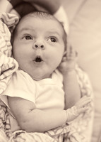 Baby Hattie (HiRes images)