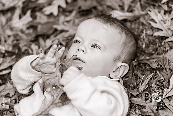 Nelson_091_Sepia-Web