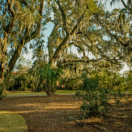Bluff_036T_web