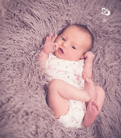 OliviaD_262T_web