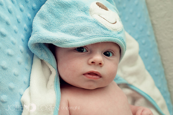 MayaBlue_1164T