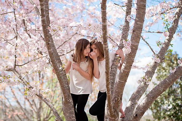 lexi_975T_web
