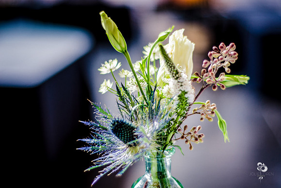 Allmett_058_web