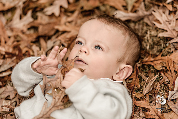 Nelson_091_Vintage-Web