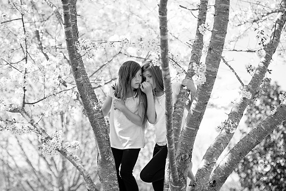 lexi_975T-2_web