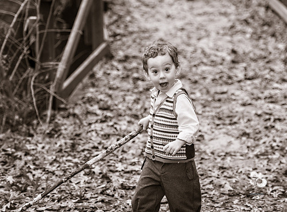 Nelson_084_Sepia-Web
