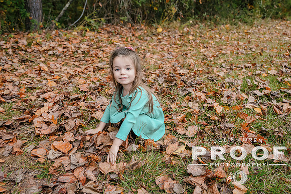 24Doss_412T_PROOF