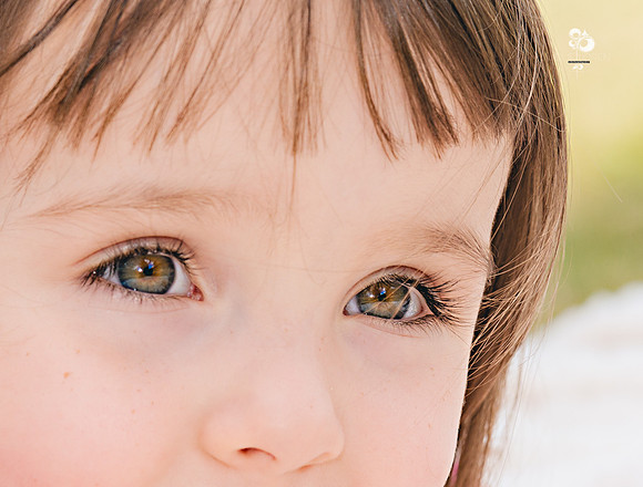 Evelyn_548TT_web