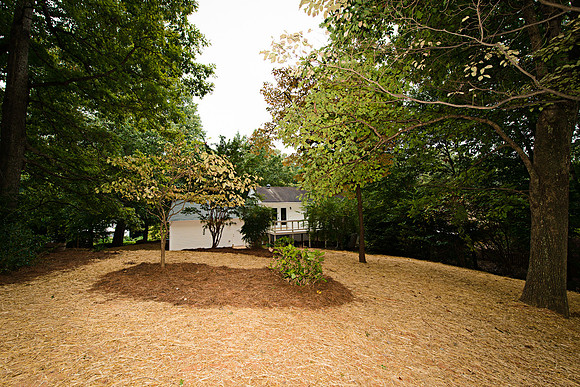 Ellwyn Dr_153TT_hires
