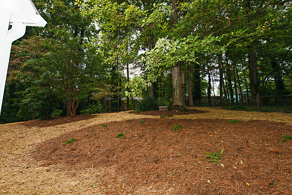 Ellwyn Dr_161T_hires