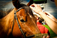 Steeplechase