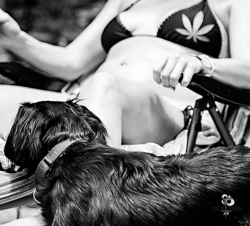 doggies_03_BW_web