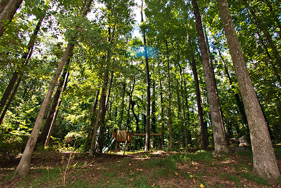 BevWoods_182T_web