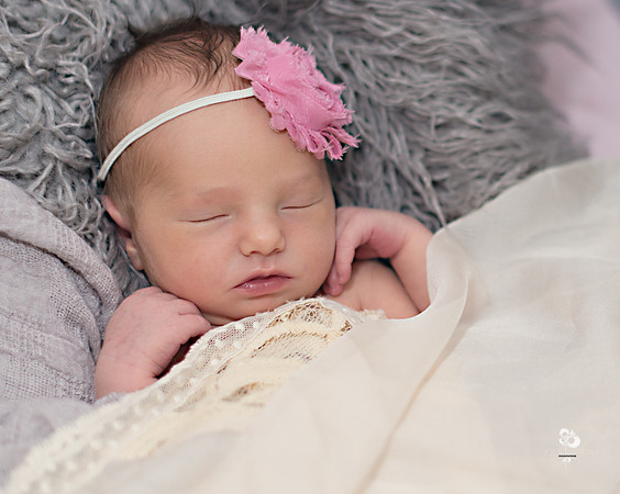 OliviaD_323T_web