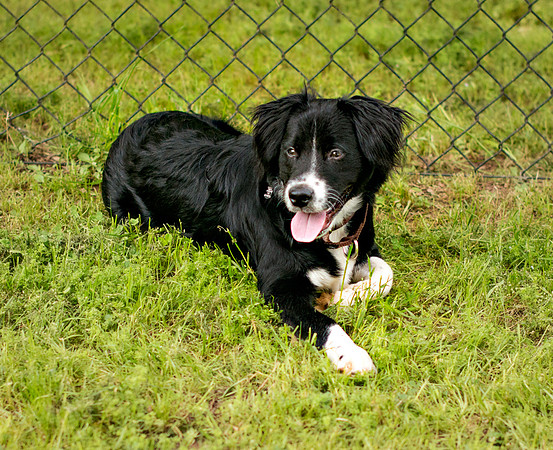ringo-park_045T_Web
